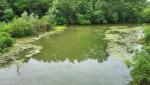 20260611_103930.jpg