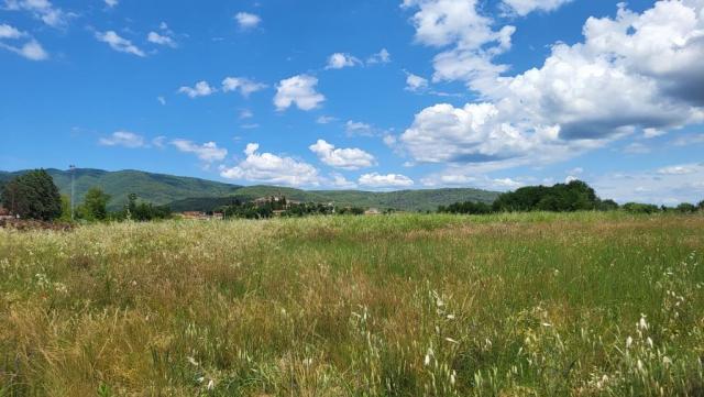 20260611_135918.jpg