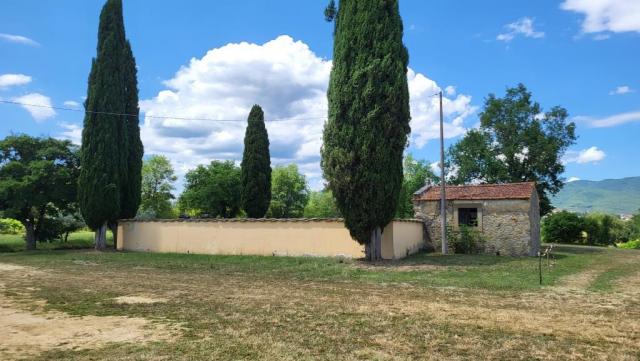 20260611_141742.jpg