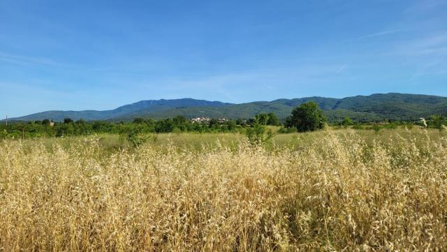 20260612_085557.jpg