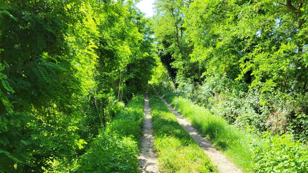 20260612_100609.jpg