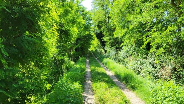 20260612_100609.jpg