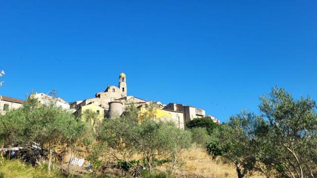 20260710_084425.jpg