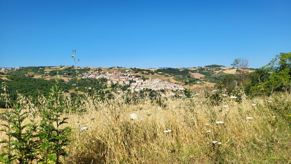 20260710_085931.jpg