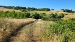 20260710_091311.jpg