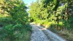 20260710_092946.jpg