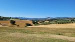 20260710_095851.jpg