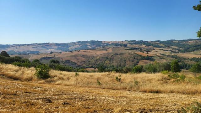 20260711_082718.jpg