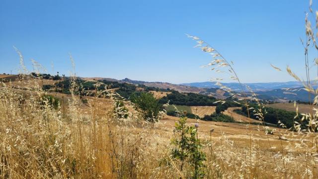 20260711_105133.jpg