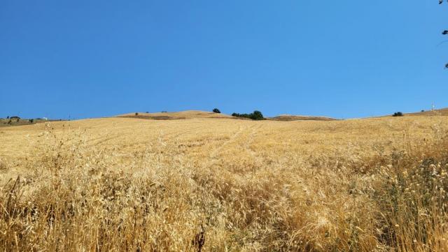 20260711_114226.jpg