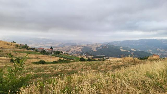 20260712_080118.jpg