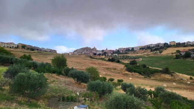20260712_081050.jpg