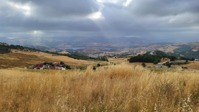 20260712_081437.jpg