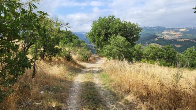 20260712_094509.jpg