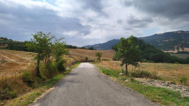 20260712_095511.jpg