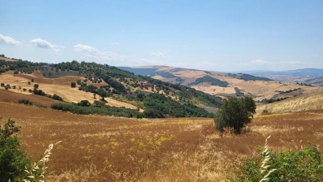 20260712_114210.jpg