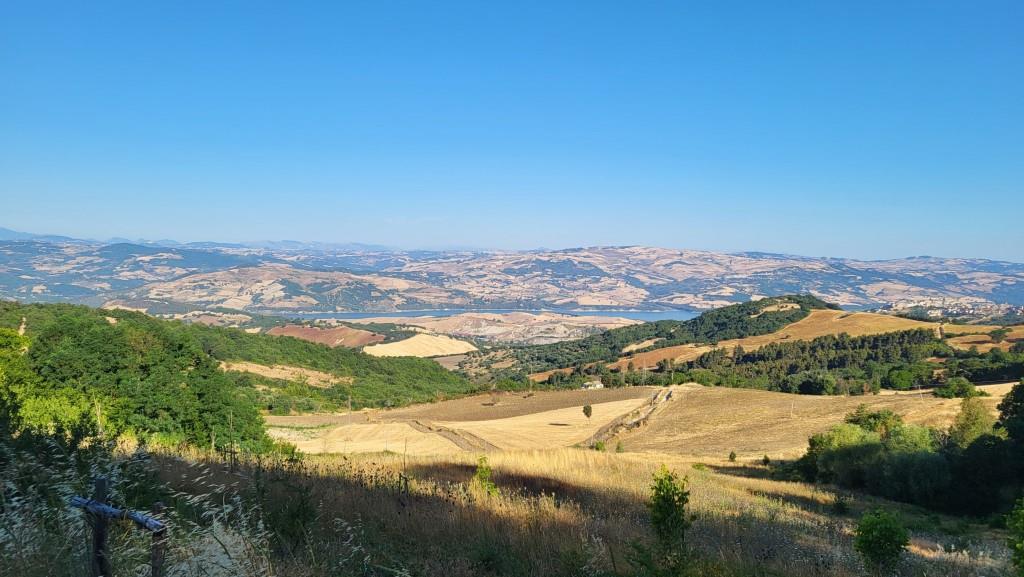 20260713_080557.jpg