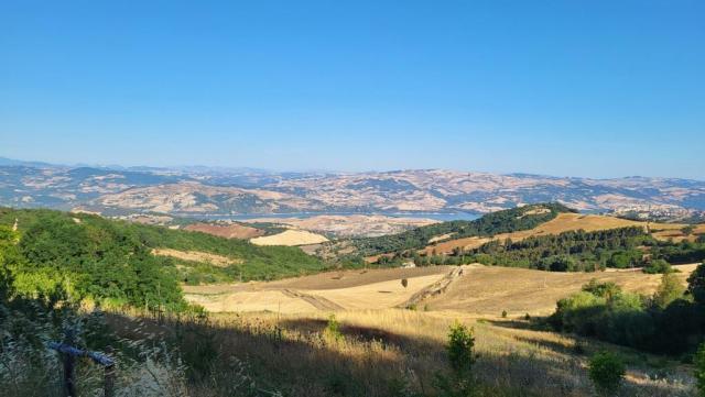 20260713_080557.jpg