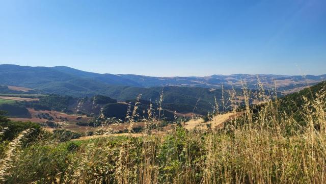 20260713_081506.jpg