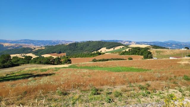 20260713_083416.jpg
