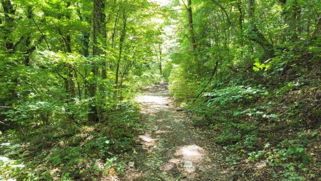20260713_105447.jpg