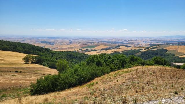 20260713_112436.jpg