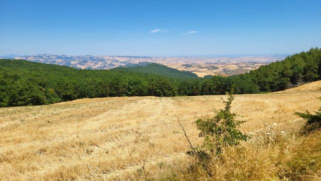 20260713_113119.jpg