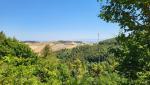20260713_115004.jpg