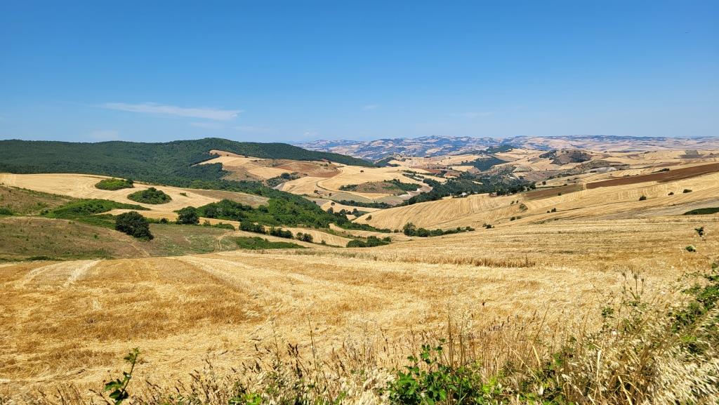 20260713_121105.jpg