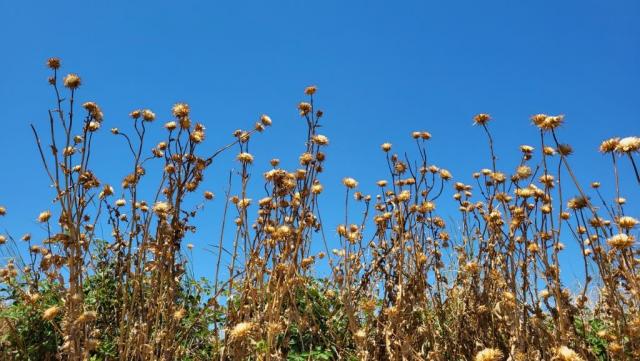 20260713_123227.jpg