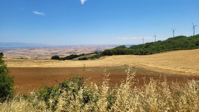 20260713_123238.jpg