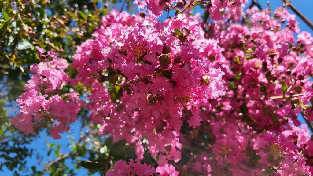 20260713_125404.jpg