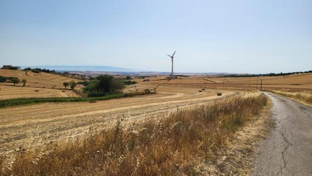 20260714_092915.jpg