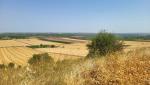 20260714_104809.jpg