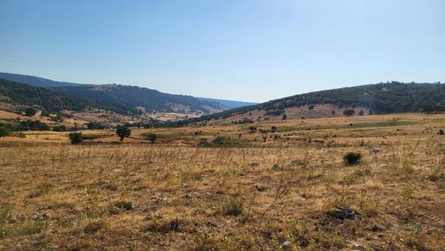 20260716_084733.jpg