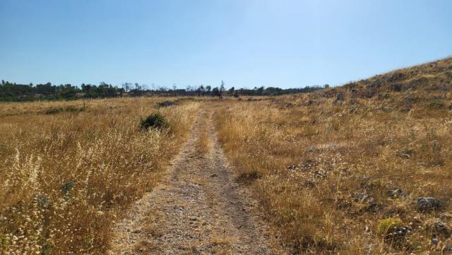 20260716_090204.jpg