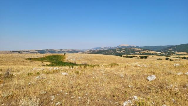20260716_090725.jpg