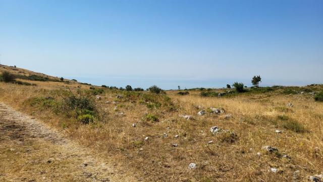 20260716_095546.jpg