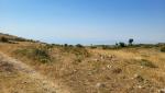 20260716_095546.jpg