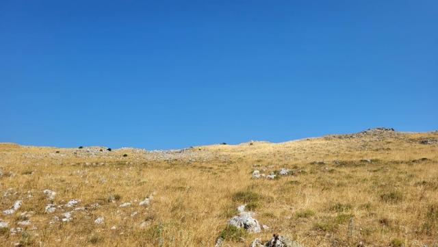 20260716_101129.jpg