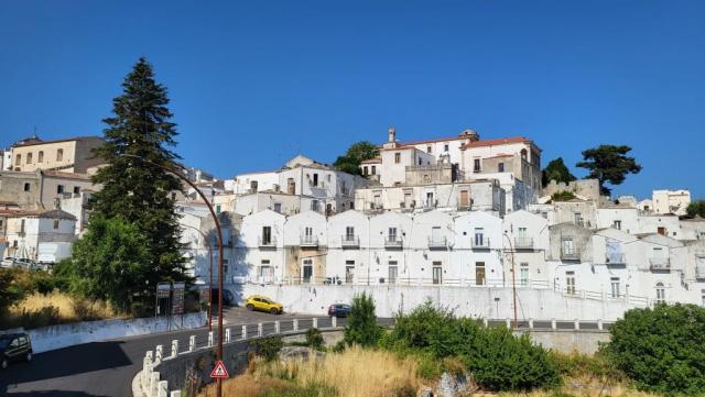 20260716_120238.jpg