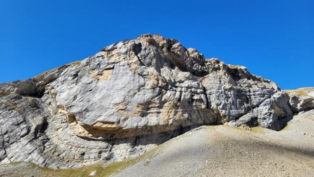 20261006_113154.jpg