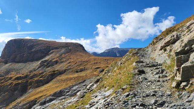 20261006_115527.jpg