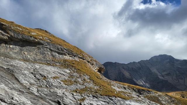 20261006_130018.jpg