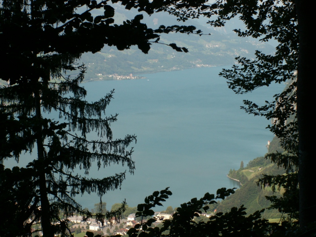 Blick auf den Walensee