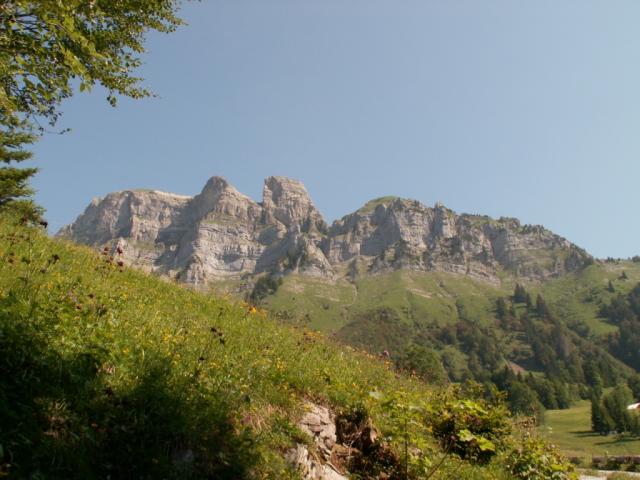 Tristencholben