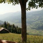 Blick von Lüsis auf Flums-Seeztal