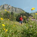 Franco in einer Blumenwiese