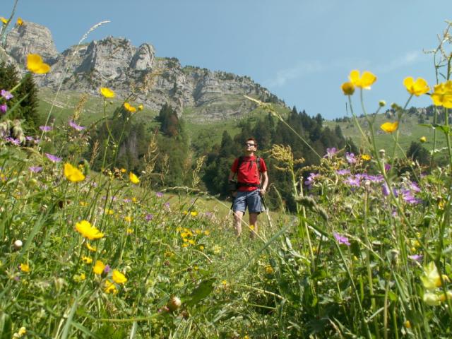 Franco in einer Blumenwiese