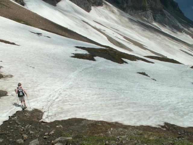 runter ins Waldnachttal